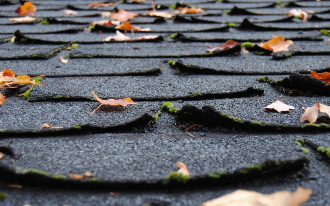 4 Signs You Need a Roof Replacement