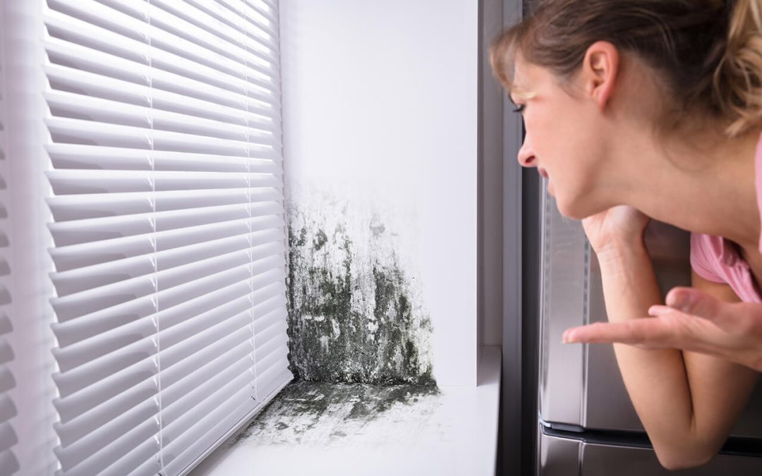 signs of mold growth