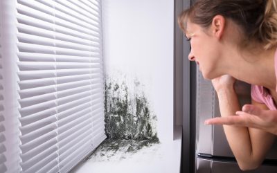 4 Signs of Mold Growth in a Home